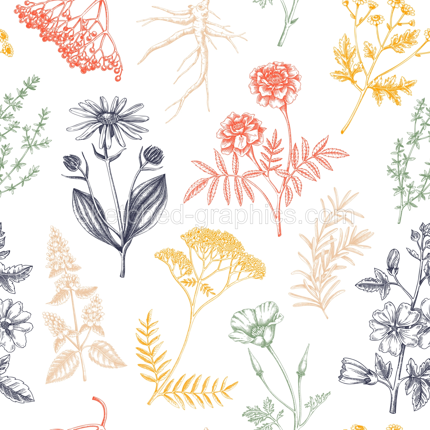 Apothecary plant background. Medicinal herbs seamless pattern. Herbal remedies, natural medicine, Healing plants sketches. Hand-drawn vector illustration.NOT AI genereted Illustration